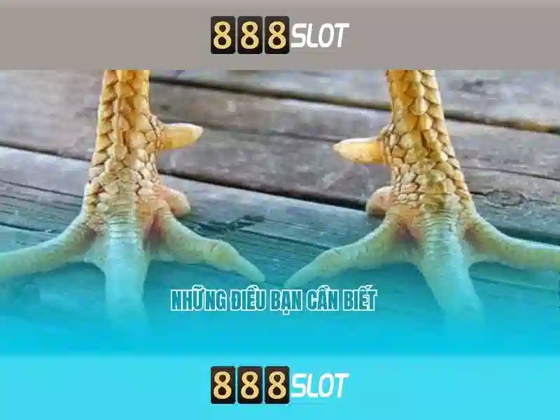 💎nhà cái uy.tín💎 💎nhà cái uy.tín💎