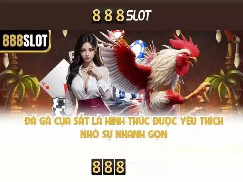 💎nhà cái vn333💎 💎nhà cái vn333💎