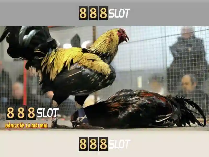 💎agen judi slot 4d💎 💎agen judi slot 4d💎