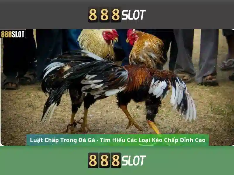 💎online play slots💎 💎online play slots💎