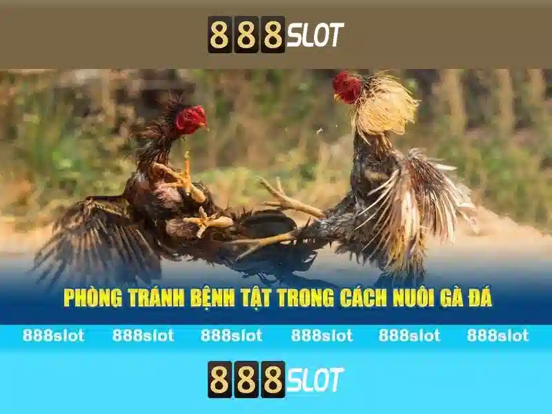 💎slot archiefkast vervangen💎 💎slot archiefkast vervangen💎