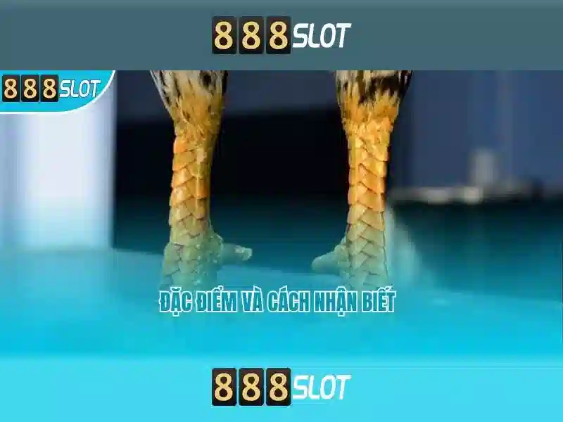 💎prime slots bingo💎 💎prime slots bingo💎