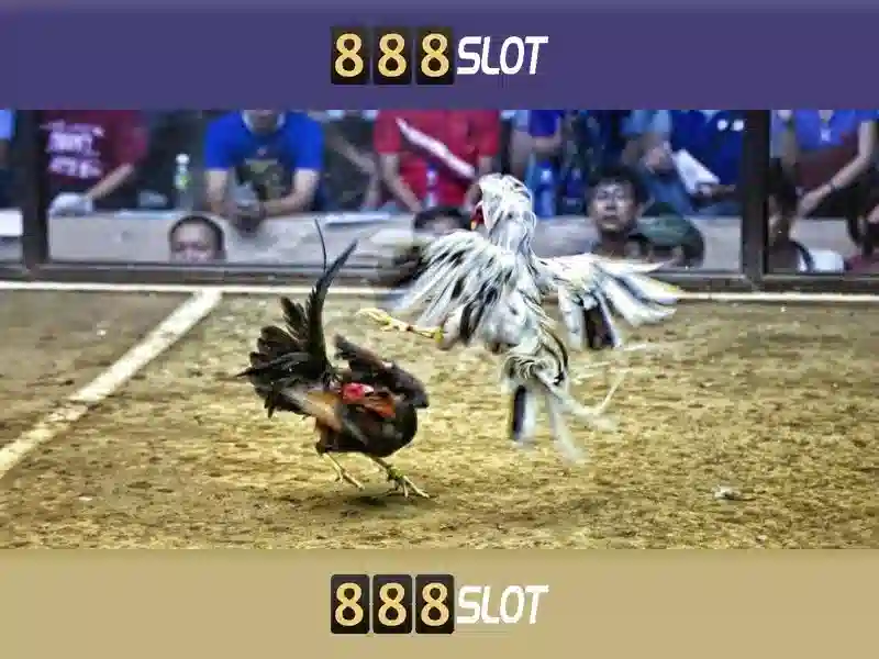 💎slots games win real money💎 💎slots games win real money💎