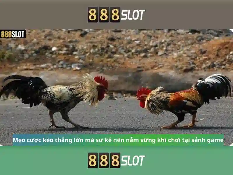 💎alexa-slot💎 💎alexa-slot💎