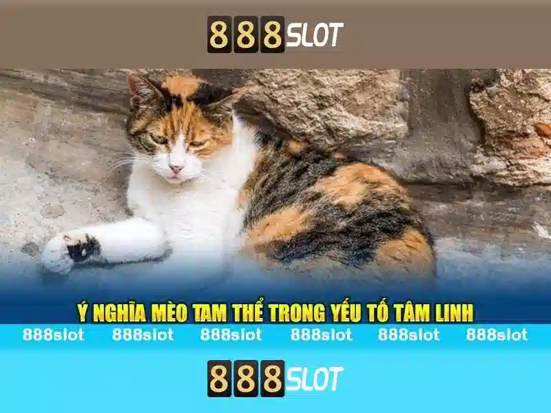 💎thời tiết song vân tân yên bắc giang💎 💎thời tiết song vân tân yên bắc giang💎