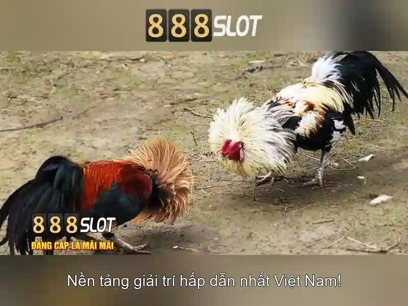 💎soi kèo nhà cái hôm nay việt nam💎 💎soi kèo nhà cái hôm nay việt nam💎