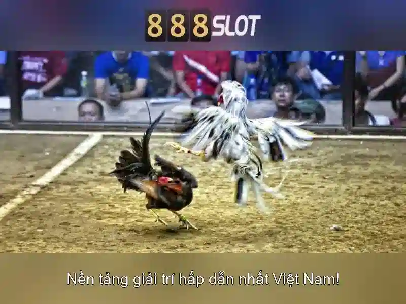 💎nhà cái uy tín châu a💎 💎nhà cái uy tín châu a💎