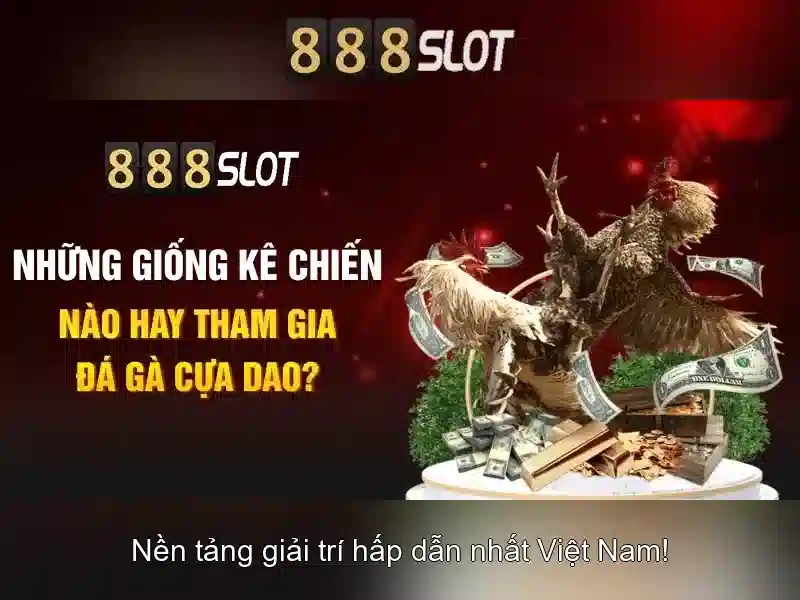 💎nhạc sống tây bắc hay nhất💎 💎nhạc sống tây bắc hay nhất💎