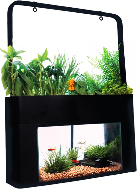 Aquasprouts indoor system