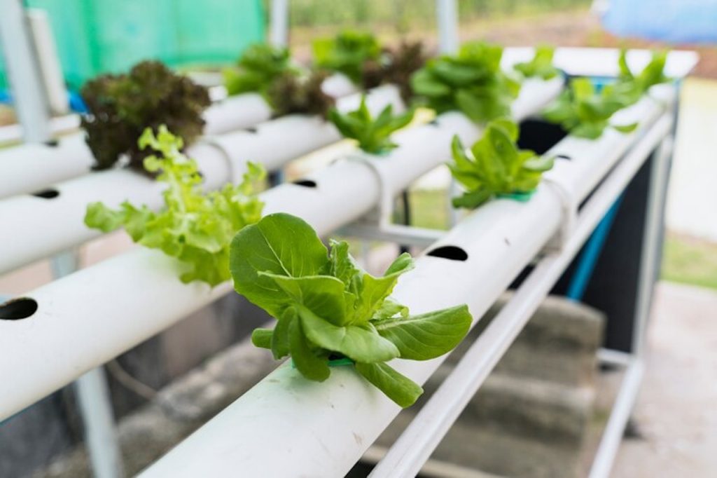 Introduction to DIY aquaponics systems