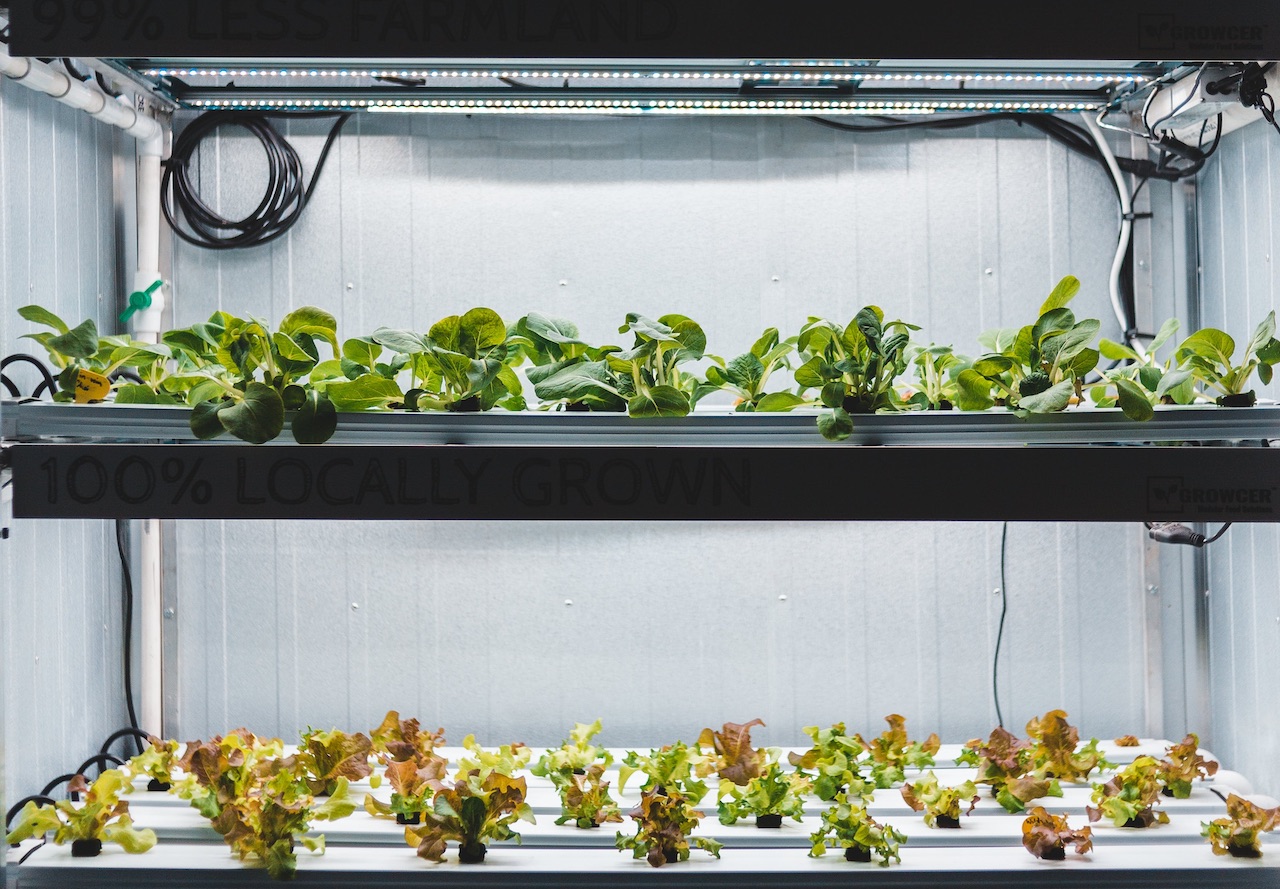 The Advantages of Different Aquaponics Systems